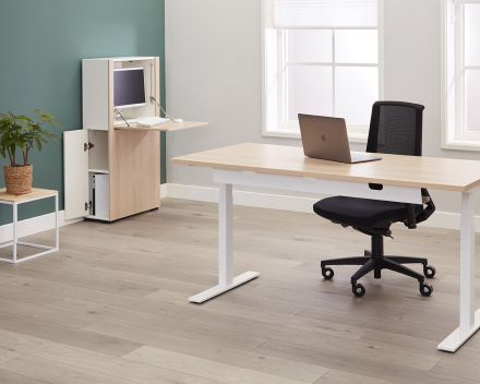 Ergo Desk by Linak