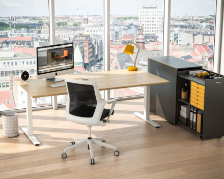 Ergo Desk