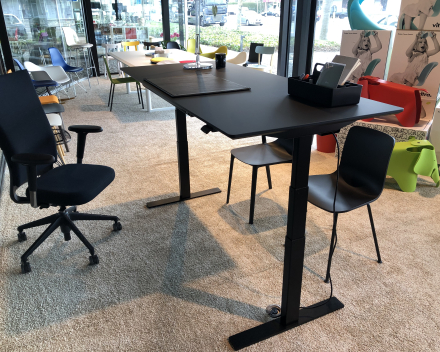 Ergo Desk