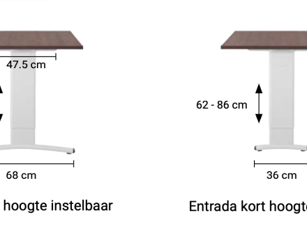 Entrade - Swan