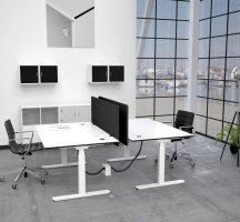 Ergo Desk by Linak